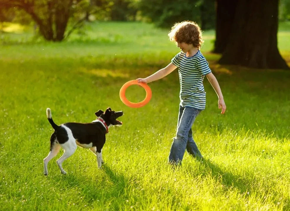 The Halo - Dog Toy - Training Ring