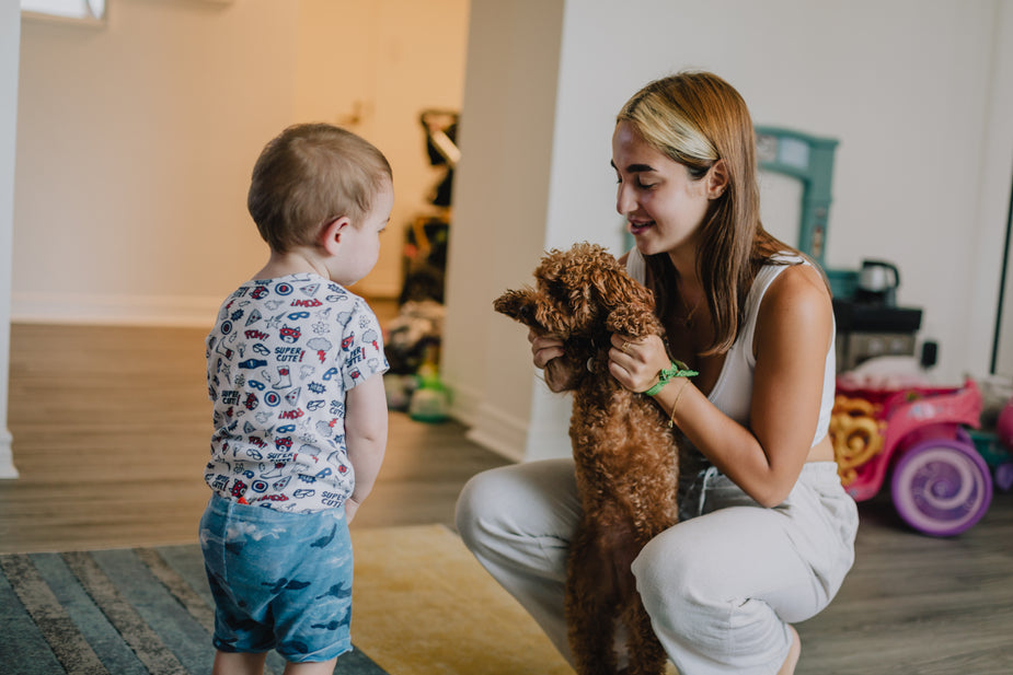woman holds up small brown dog to greet a young toddler