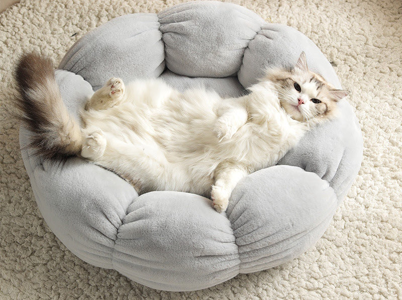 Cat Beds & Mats