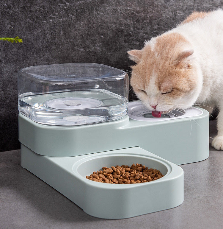 Cat Fountains