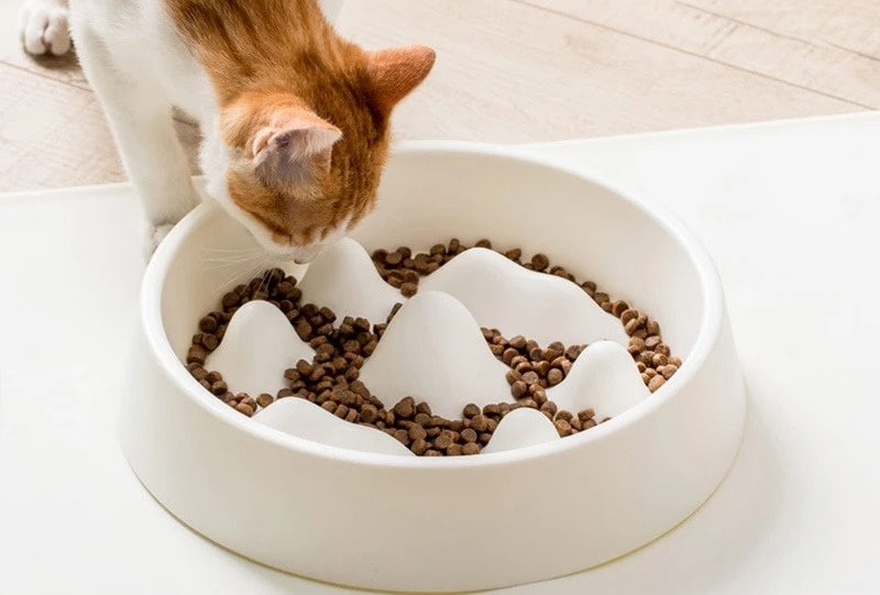 Cat Slow Feeders & Lick Mats