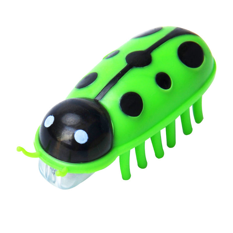 Crawling Ladybug Cat Toy