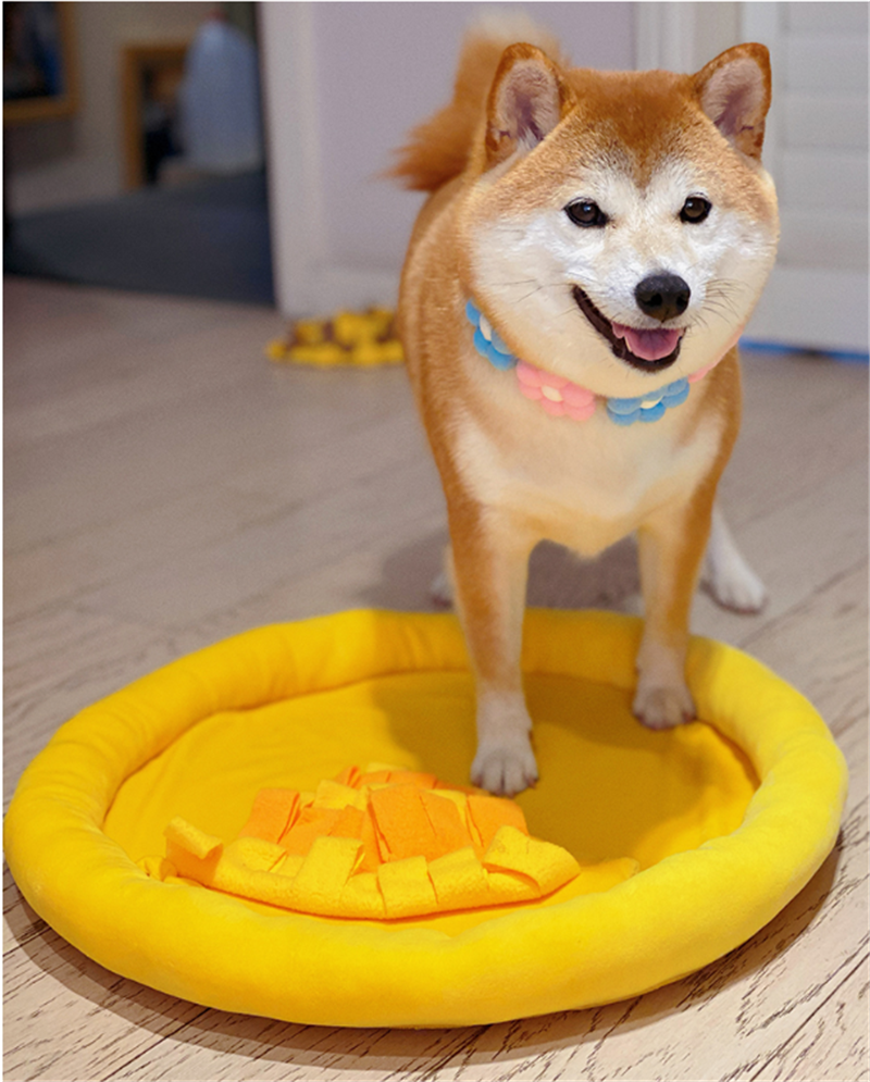 Pizza Party - Snuffle Mat - Pull Apart