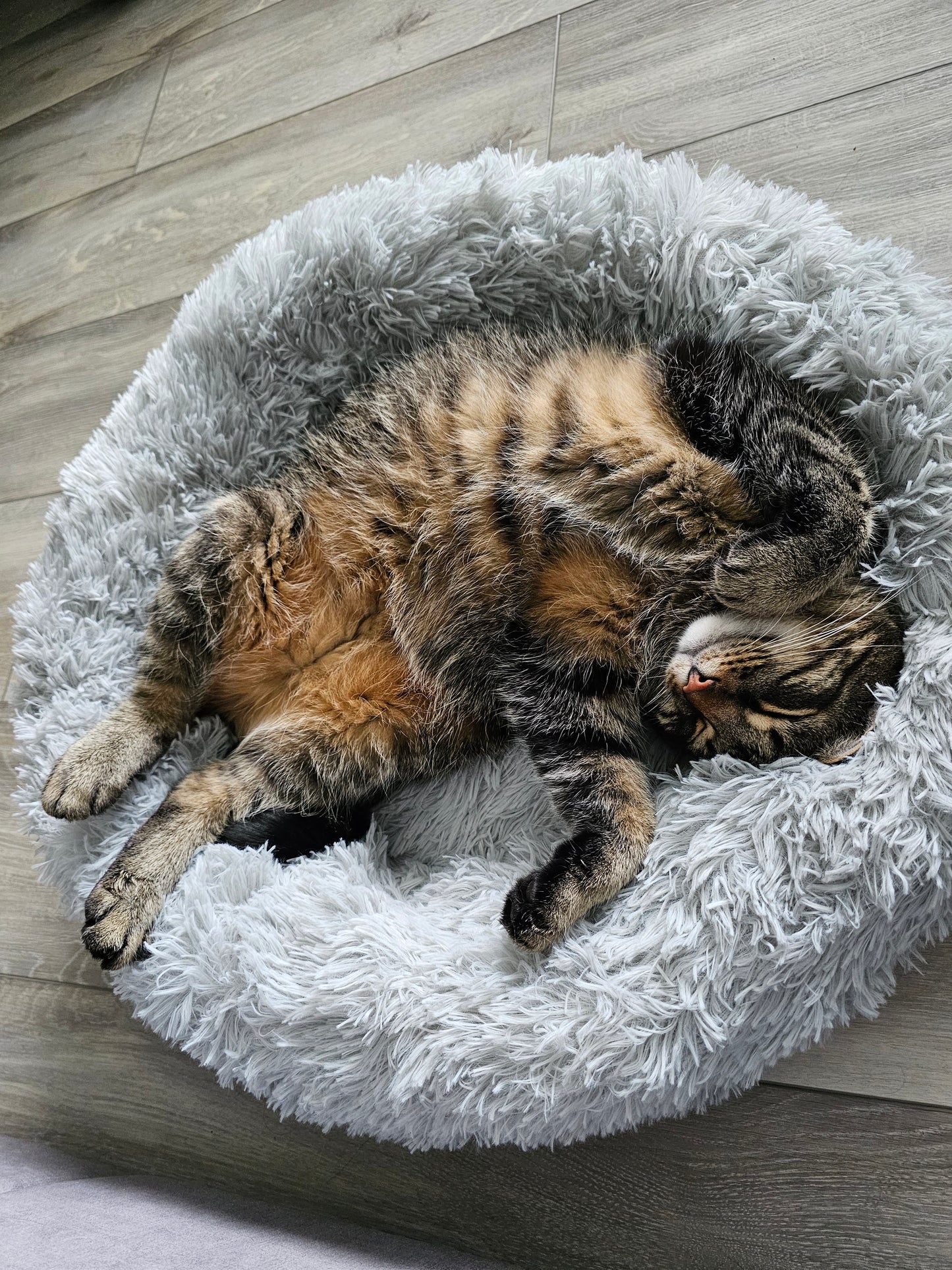 Calming Plush Bed For Anxious Pets