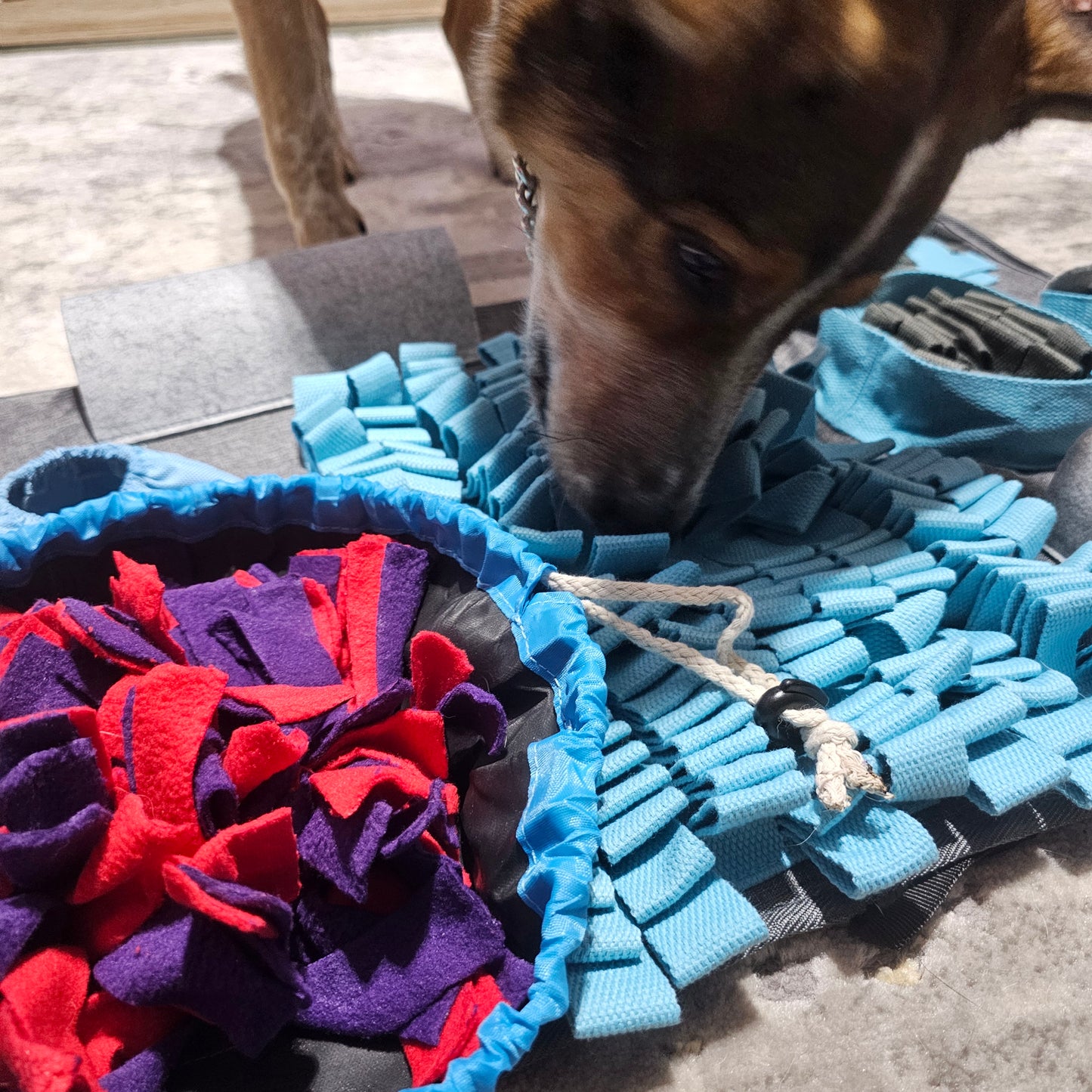 The Riddler - Snuffle Mat - With Drawstring Bowl