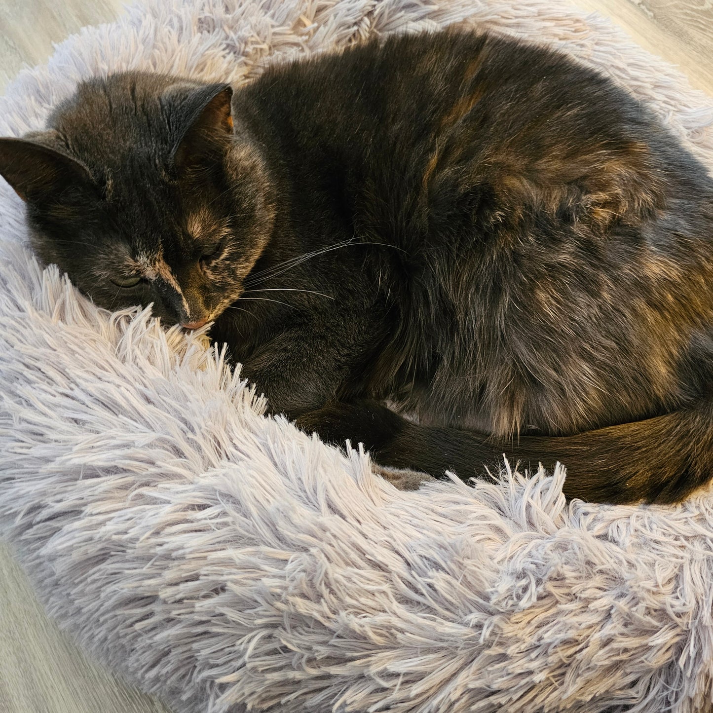 Purrfect Haven - Heated Calming Bed - For Cats & Small Dogs