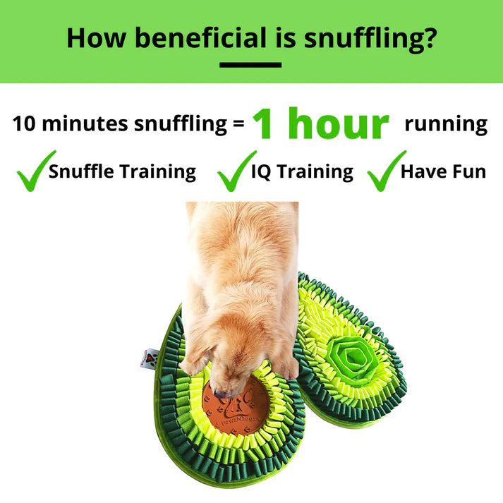 Delicious Avocado - Snuffle Mat - Dual Sided