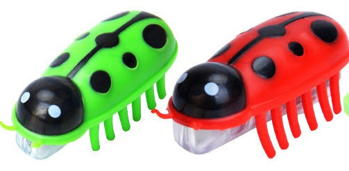 Crawling Ladybug Cat Toy