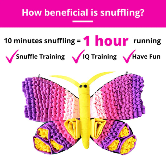 Butterfly Wings - Snuffle Mat - Challenging Pockets