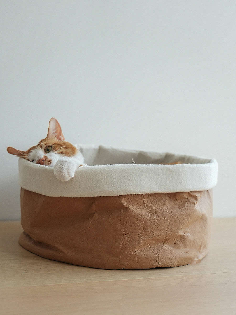 Fleece-Lined Paper Bag Nest With Scratching Board