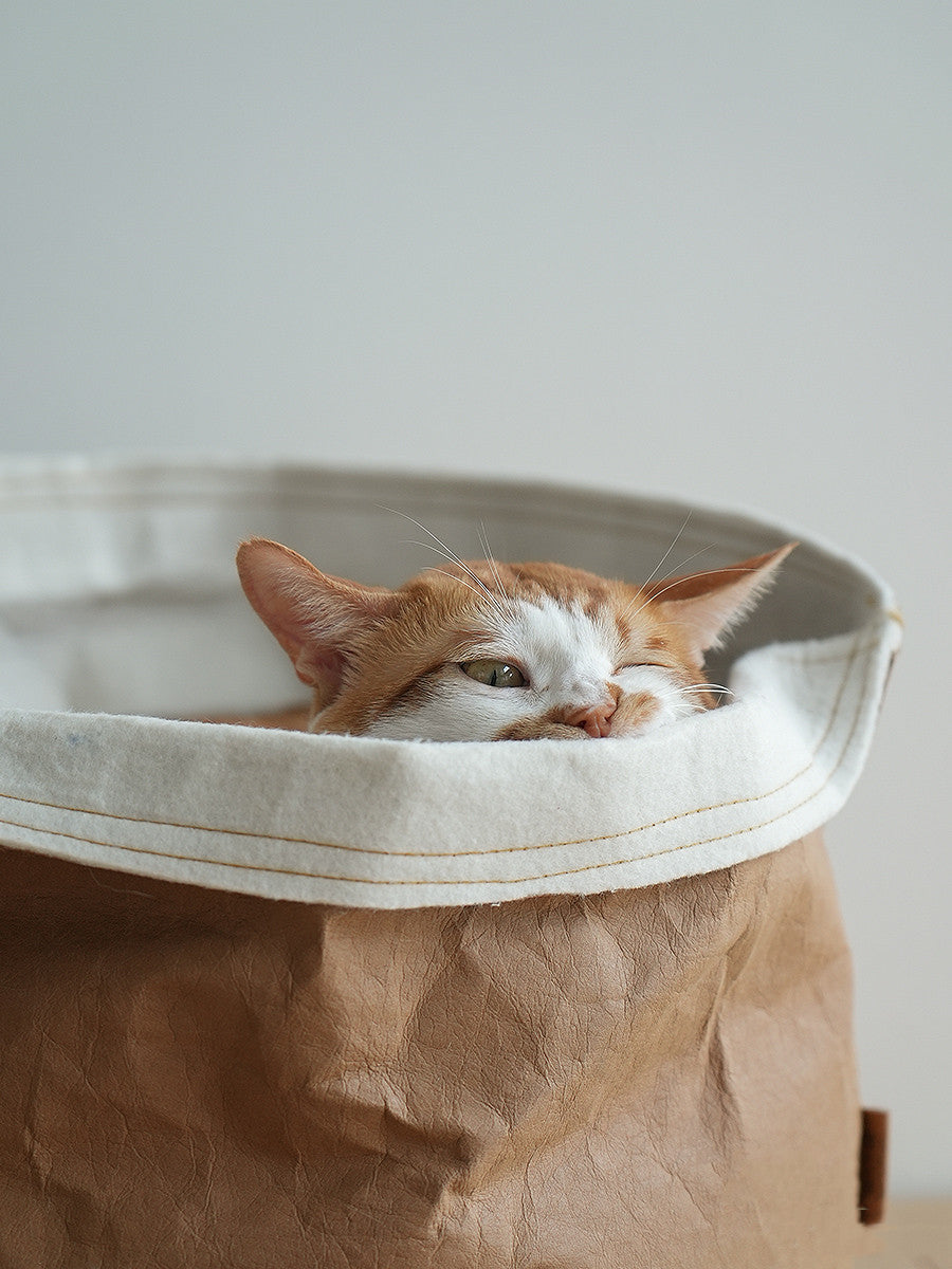 Fleece-Lined Paper Bag Nest With Scratching Board