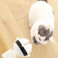 Electric Automatic Motion Cat Teaser Ball