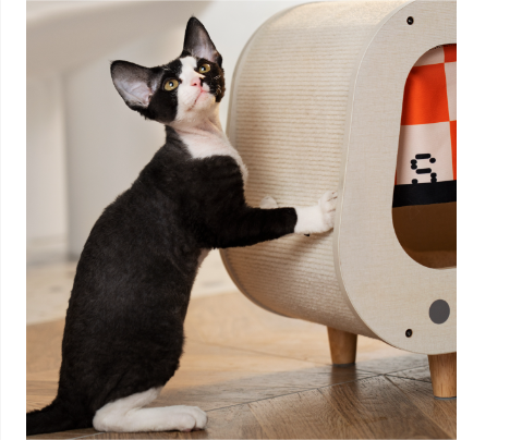 Retro TV Cabinet Cat House and Scratcher