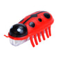 Crawling Ladybug Cat Toy