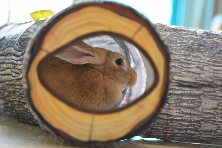 Deluxe Pet Tunnel For Cats, Bunnies and Ferrets