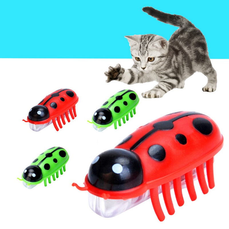Crawling Ladybug Cat Toy