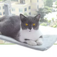 Fold-away Cat Window Hammock -  2 Sizes