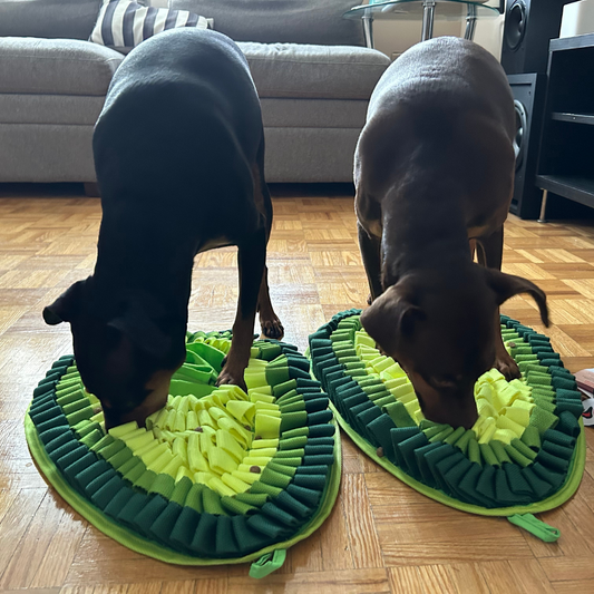 Delicious Avocado - Snuffle Mat - Dual Sided