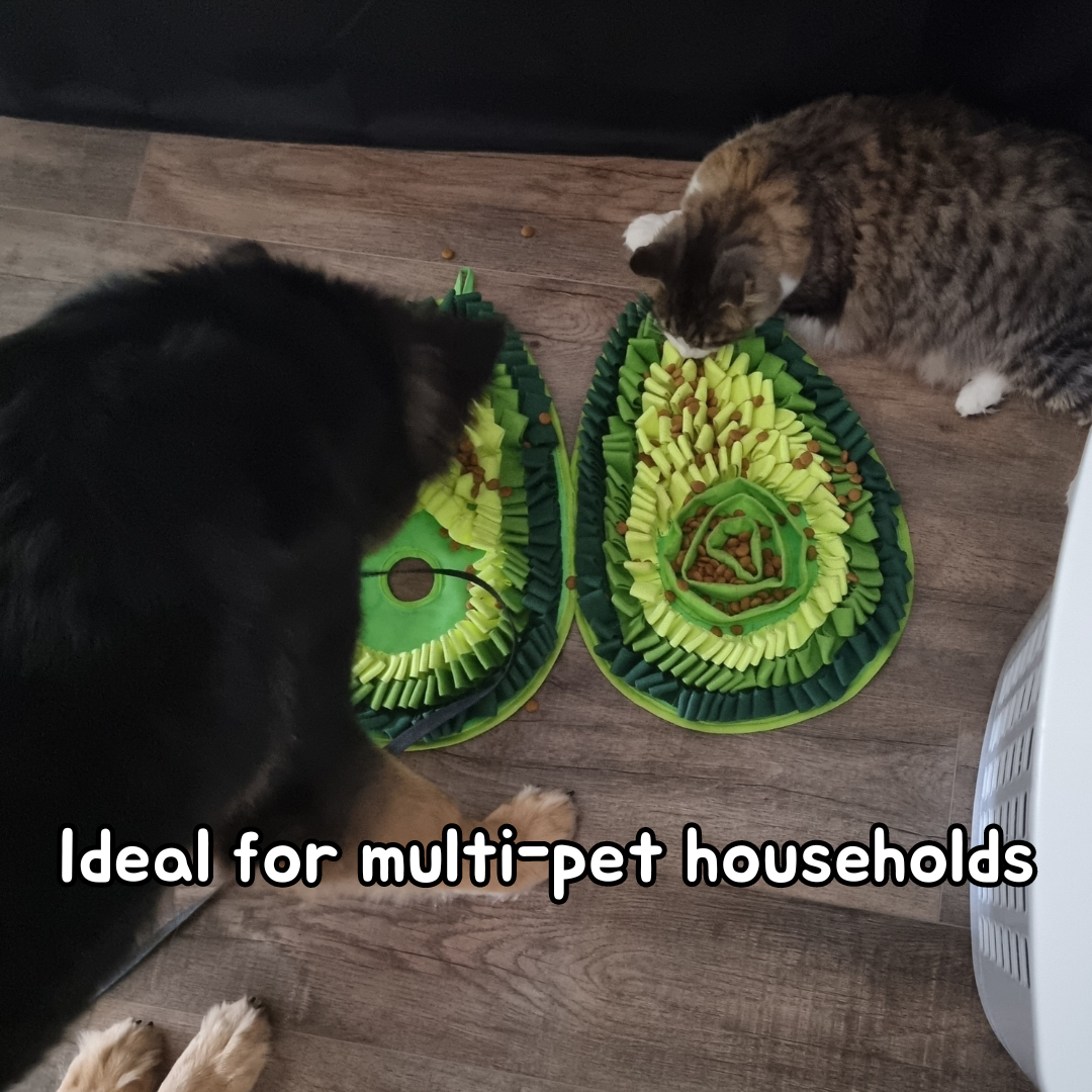 Delicious Avocado - Snuffle Mat - Dual Sided