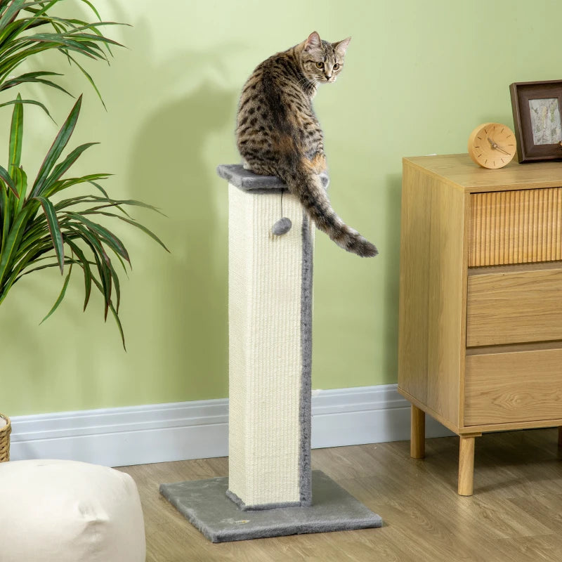 The Reacher - Cat Scratching Post - Extra Tall