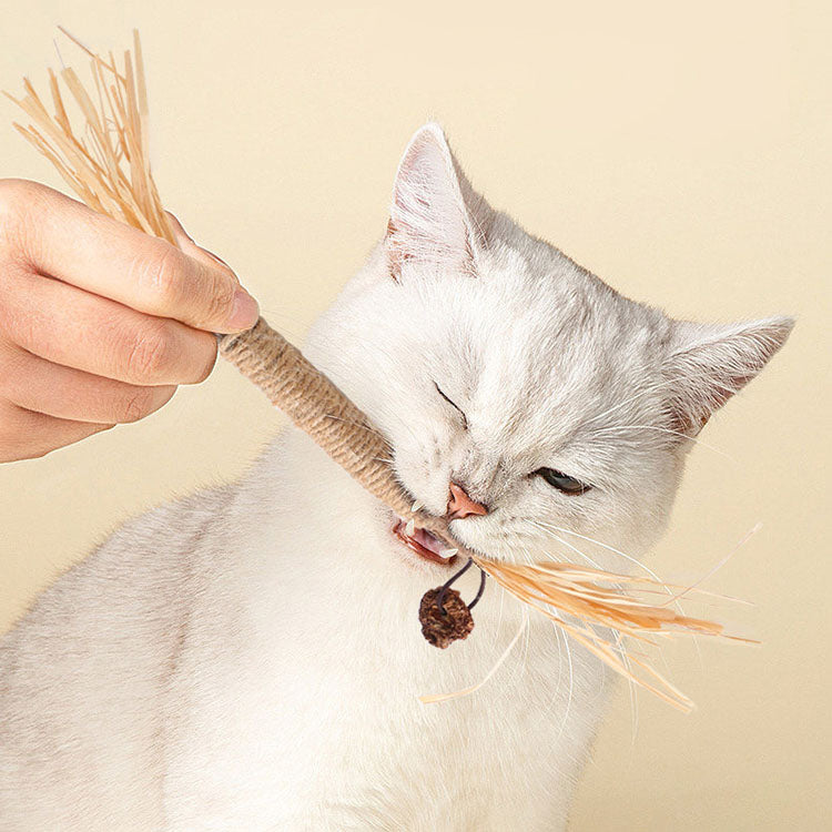 Pearly Whites - Cat Toys - Natural Matatabi Dental Sticks