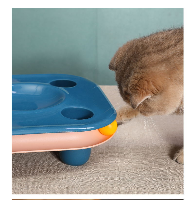 Multifunctional Cat Food Bowl and Track Toy