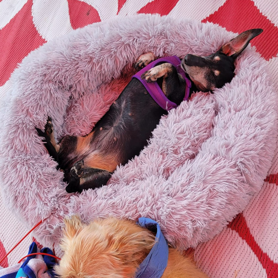 Calming Plush Bed For Anxious Pets