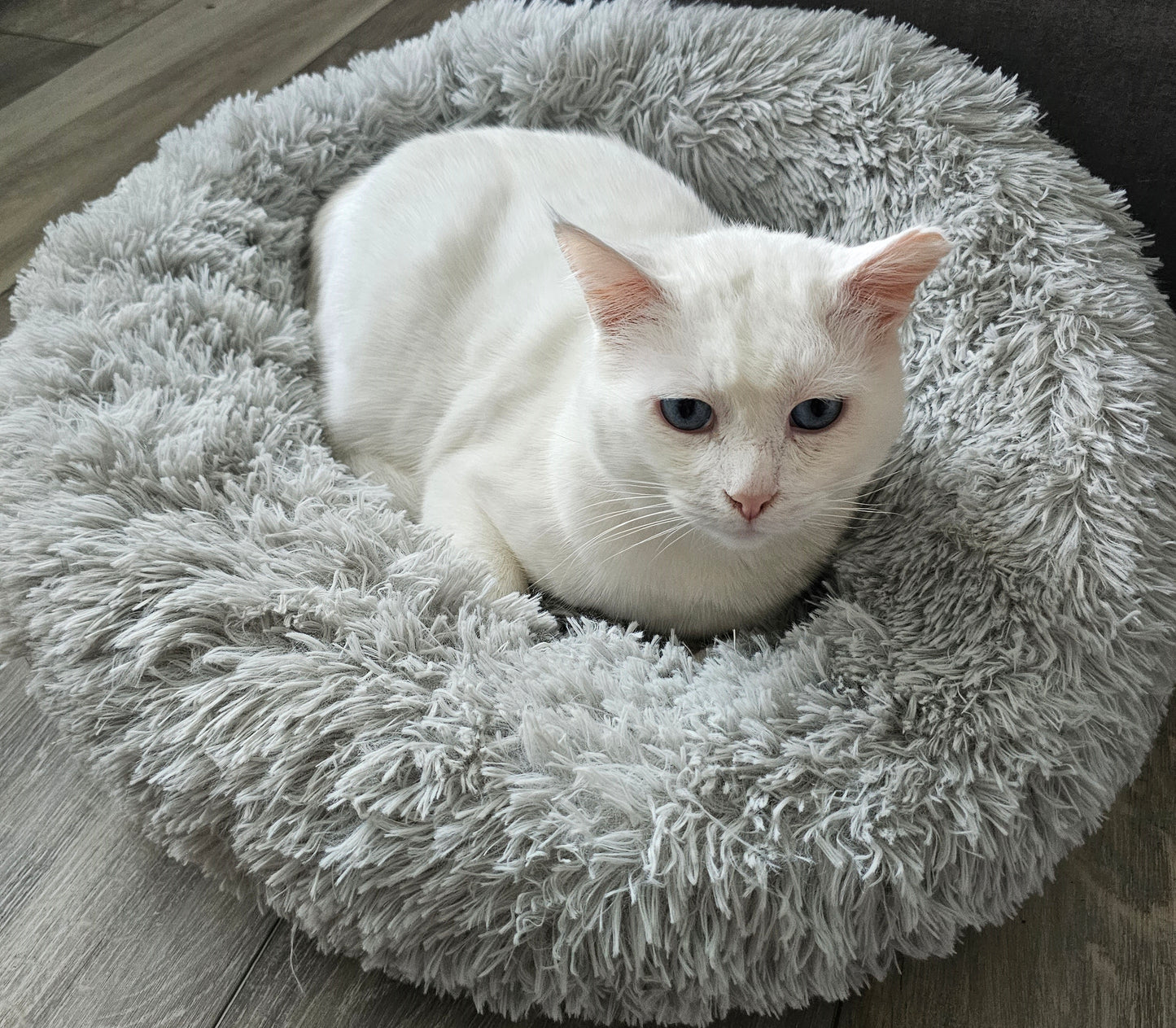 Purrfect Haven - Heated Calming Bed - For Cats & Small Dogs