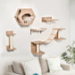 5 Piece Wall-Mounted Cat Activity Centre