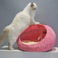 Rattan Nest with Cushion for Modern Pet Parents