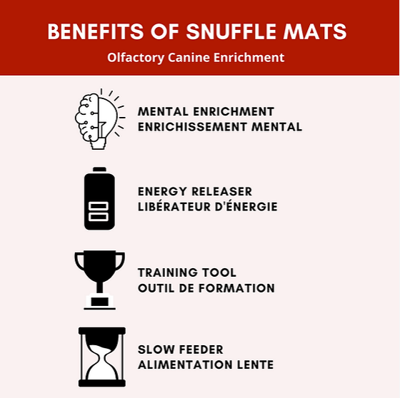 The Lotus - Snuffle Mat - Strong Webbing