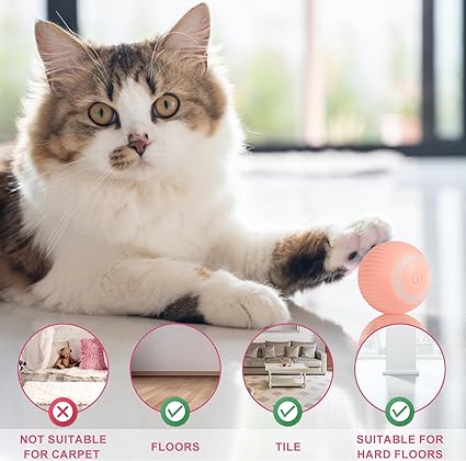 Smart Cat Ball with Endless Power