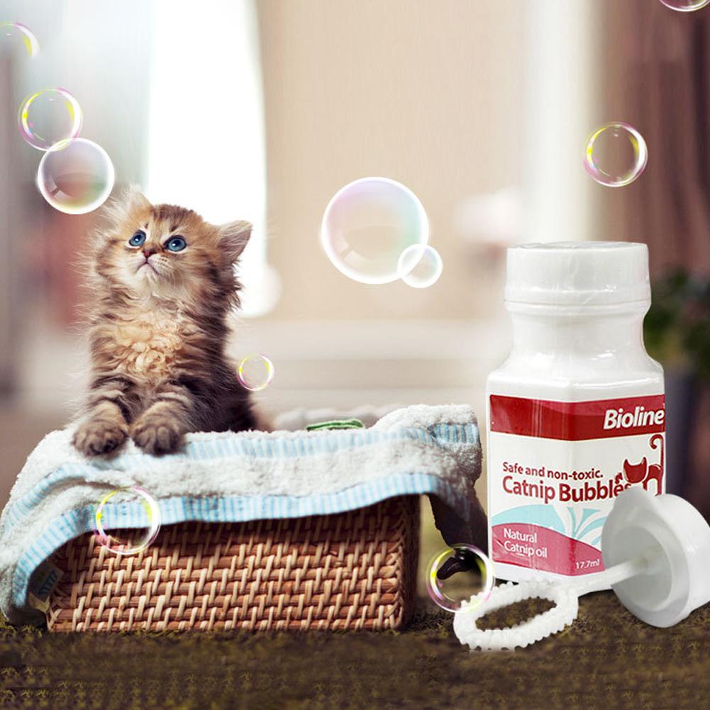 Catnip-Infused Bubbles For Kitty Playtime