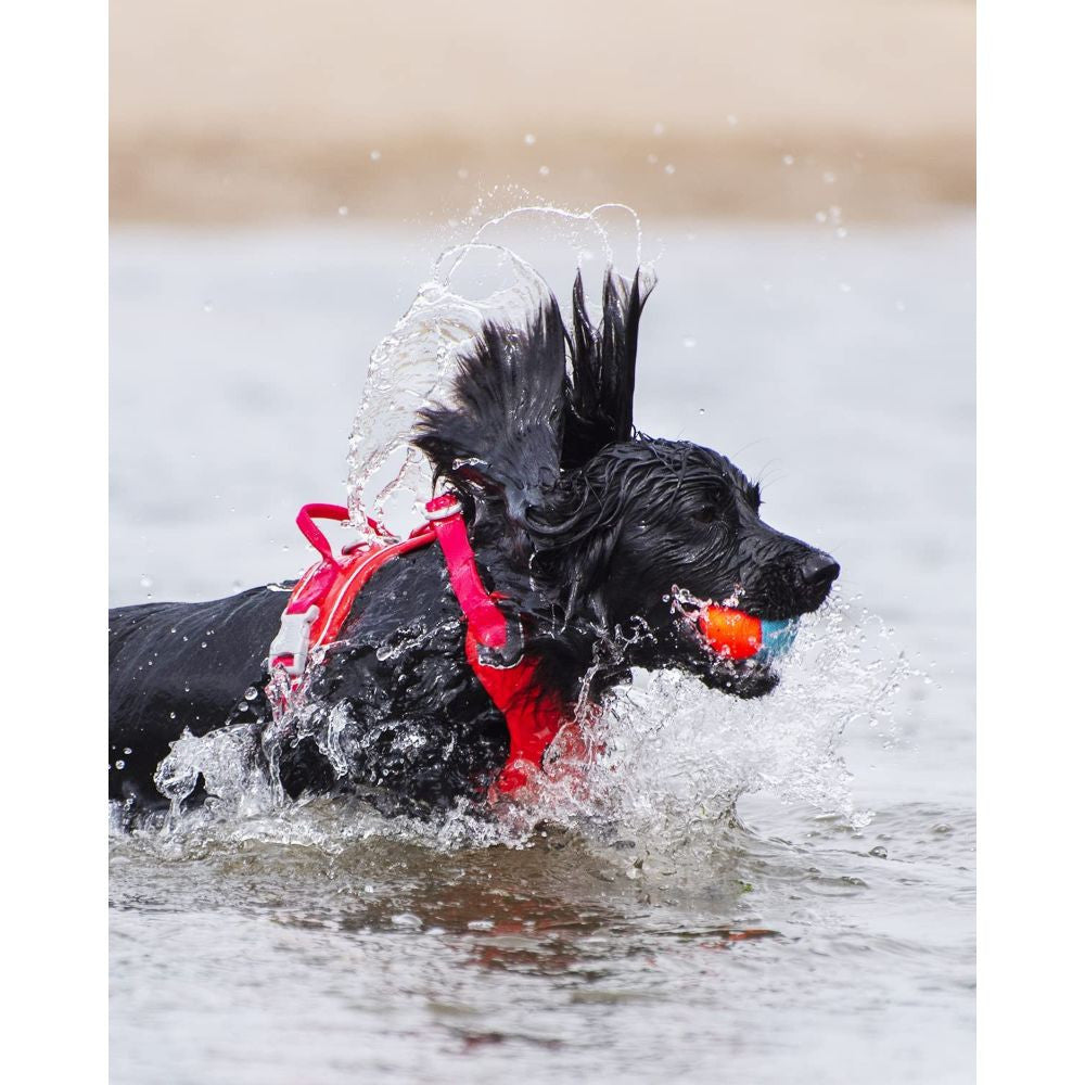 Chuckit! Amphibious Balls Dog Toy 3 Pack