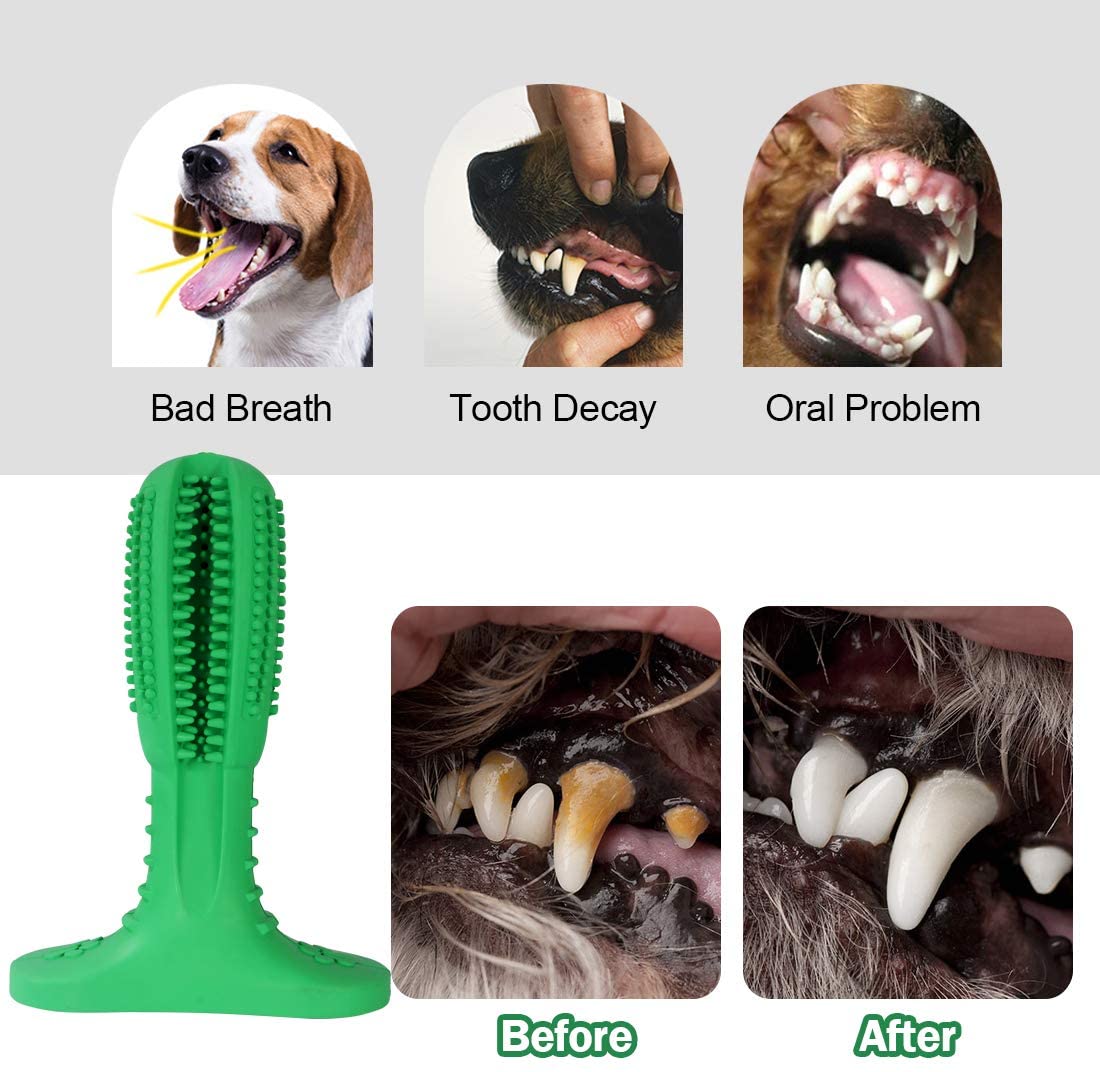 Natural Rubber Bite Resistant Dog Toothbrush Chew