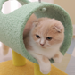 Animal Theme Cat Scratcher and Sleeping Nest