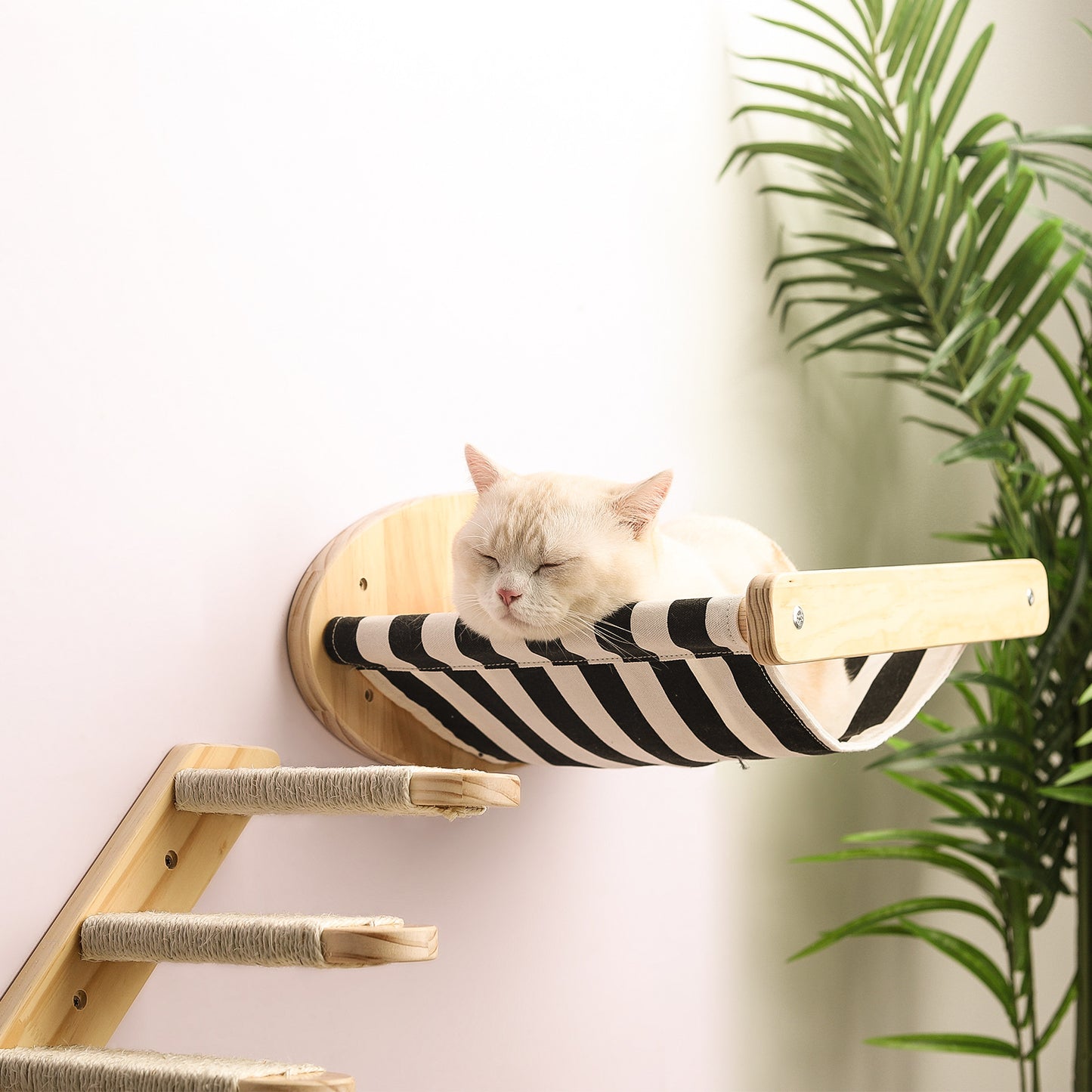 Cat Activity Wall Hammock and Staircase