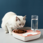 Love For Dinner Pet Bowl with Gravity Fed Water Dispenser