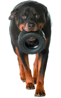 Rubber Tire Sturdy Dog Chew Toy by Mammoth