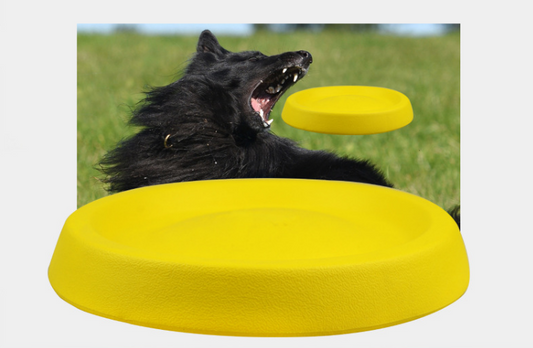 Soft Dog Frisbee Activity Toy