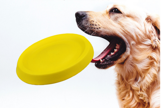 Soft Dog Frisbee Activity Toy