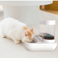 Modern Automatic Drinking Fountain 1.5L with Food Bowl for Pet Cats and Dogs Automatic pet fountain - InspirationIncluded