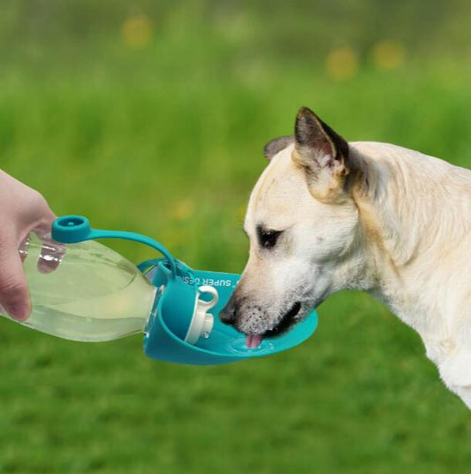 600ml Pet Portable Water Bottle With Large Bowl Portable pet water bottle - InspirationIncluded