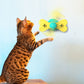 Butterfly Cat Activity Toy Interactive Cat Butterfly - InspirationIncluded