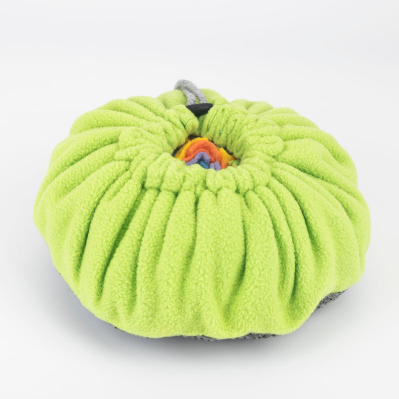 Interactive Pet Snuffle Mat For Dogs to Encourage Natural Foraging Skills - InspirationIncluded