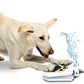 Push-Button Cooling Dog Water Fountain