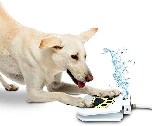 Push-Button Cooling Dog Water Fountain